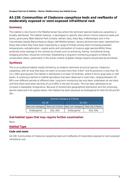 A3.238: Communities of Cladocora Caespitosa Beds and Reefbanks of Moderately Exposed Or Semi-Exposed Infralittoral Rock