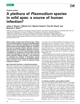 A Plethora of Plasmodium Species in Wild Apes: a Source of Human Infection?