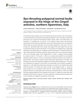 Syn-Thrusting Polygonal Normal Faults Exposed in the Hinge of the Cingoli Anticline, Northern Apennines, Italy