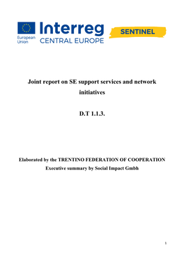 Joint Report on SE Support Services and Network Initiatives D.T 1.1.3