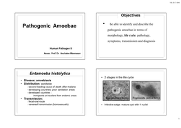 Pathogenic Amoebae Be Able to Identify and Describe the Pathogenic Amoebae in Terms of Morphology, Life Cycle, Pathology, Symptoms, Transmission and Diagnosis