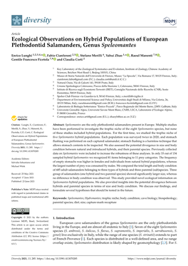 Ecological Observations on Hybrid Populations of European Plethodontid Salamanders, Genus Speleomantes