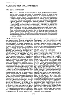 Mate Retention in Caspian Terns