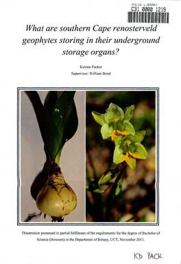 What Are Southern Cape Renosterveld Geophytes Storing in Their Underground Storage Organs?