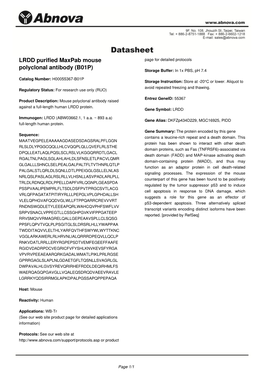 LRDD Purified Maxpab Mouse Polyclonal Antibody (B01P)