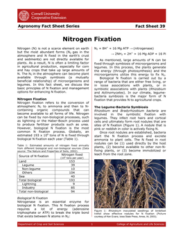 Nitrogen Fixation