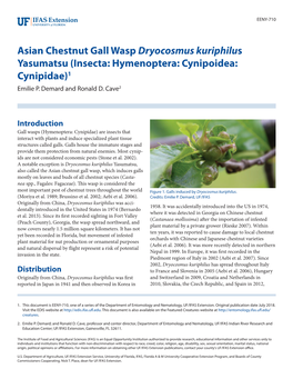 Asian Chestnut Gall Wasp Dryocosmus Kuriphilus Yasumatsu (Insecta: Hymenoptera: Cynipoidea: Cynipidae)1 Emilie P