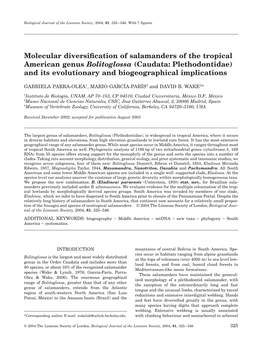 Molecular Diversification of Salamanders of the Tropical