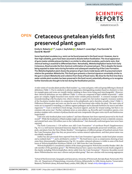 Cretaceous Gnetalean Yields First Preserved Plant