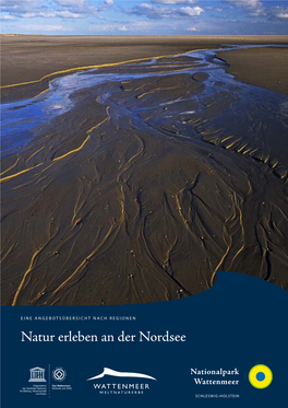 Natur Erleben an Der Nordsee