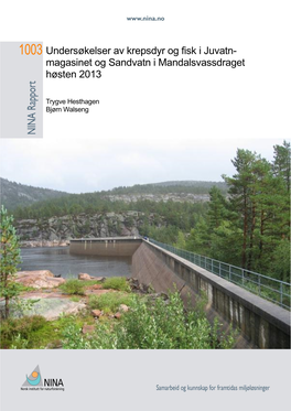 Undersøkelser Av Krepsdyr Og Fisk I Juvatn- Magasinet Og Sandvatn I Mandalsvassdraget Høsten 2013