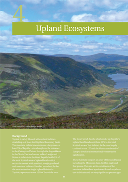 Upland Ecosystems