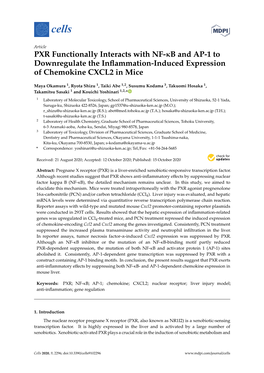 PXR Functionally Interacts with NF-Κb and AP-1 to Downregulate the Inﬂammation-Induced Expression of Chemokine CXCL2 in Mice