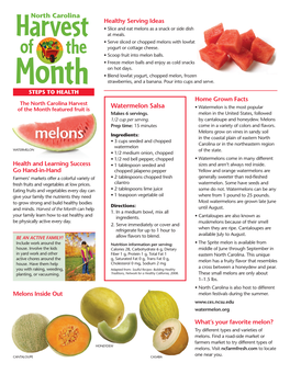 Melons As a Snack Or Side Dish at Meals