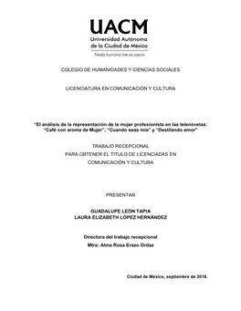 El Análisis De La Representación De La Mujer Profesionista En Las Telenovelas: “Café Con Aroma De Mujer”, “Cuando Seas Mía” Y “Destilando Amor”