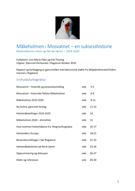 Måkeholmen I Mosvatnet – En Suksesshistorie Hettemåkenes Vekst Og Fall På Jæren – 1919-2020