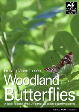 Great Places to See Woodland Butterflies a Guide to Some of the UK’S Great Woodland Butterfly Reserves