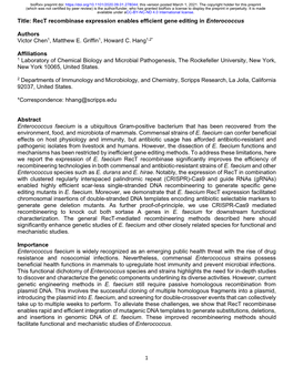 Rect Recombinase Expression Enables Efficient Gene Editing in Enterococcus