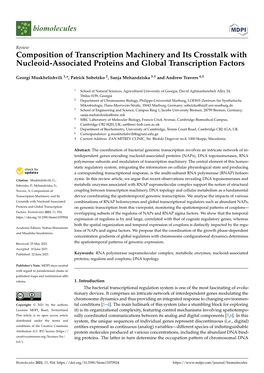 Composition of Transcription Machinery and Its Crosstalk with Nucleoid-Associated Proteins and Global Transcription Factors
