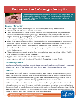 Dengue and the Aedes Aegypti Mosquito