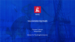 Vilkårsrevisjoner