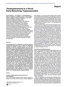 Paratrypanosoma Is a Novel Early-Branching Trypanosomatid