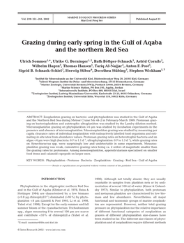 Grazing During Early Spring in the Gulf of Aqaba and the Northern Red Sea