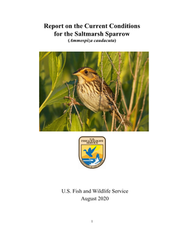 Report on the Current Conditions for the Saltmarsh Sparrow (Ammospiza Caudacuta)