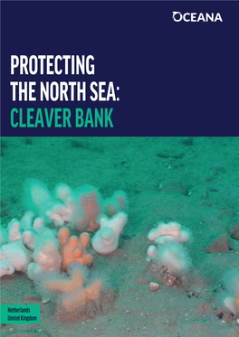 PROTECTING the NORTH SEA: CLEAVER BANK PROTECTING the NORTH SEA: CLEAVER BANK European Headquarters - Madrid E-Mail: Europe@Oceana.Org