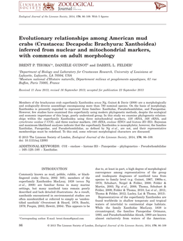 Evolutionary Relationships Among American Mud Crabs (Crustacea