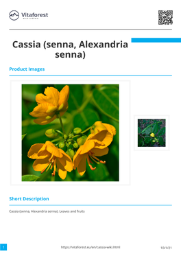 Cassia (Senna, Alexandria Senna)