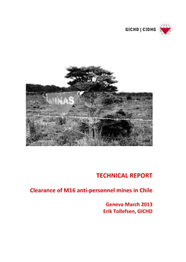 Clearance of M16 Anti-Personnel Mines in Chile