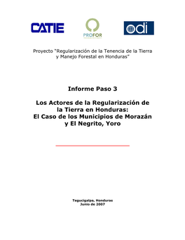 Informe Paso 3 Los Actores De La Regularización De La Tierra