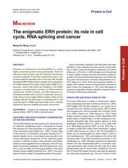 The Enigmatic ERH Protein: Its Role in Cell Cycle, RNA Splicing and Cancer