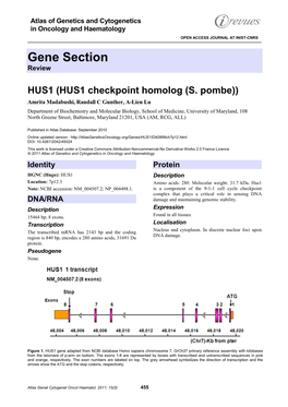 Gene Section Review