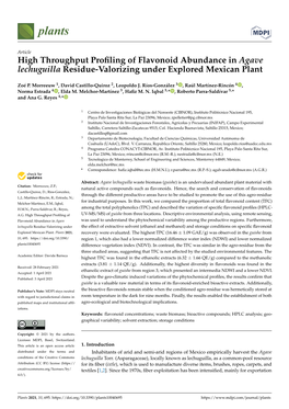 High Throughput Profiling of Flavonoid Abundance in Agave