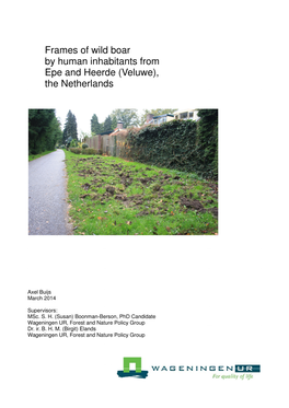 Frames of Wild Boar by Human Inhabitants Epe and Heerde (Veluwe) the Netherlands Mes of Wild Boar Human Inhabitants from E