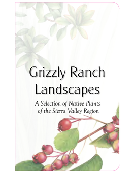 Grizzly Ranch Landscapes a Selection of Native Plants of the Sierra Valley Region