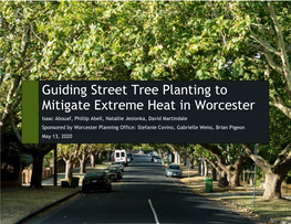 Guiding Street Tree Planting to Mitigate Extreme Heat in Worcester