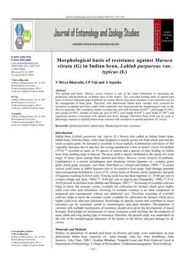 Morphological Basis of Resistance Against Maruca Vitrata