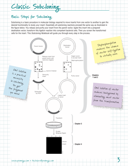 Subcloning Notebook Guide, BR152