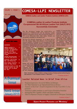 Comesa-Llpi Newsletter Revised.Pub
