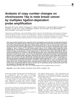 Analysis of Copy Number Changes on Chromosome 16Q in Male Breast