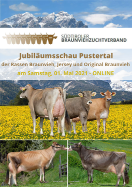 Jubiläumsschau Pustertal Der Rassen Braunvieh, Jersey Und Original Braunvieh Am Samstag, 01