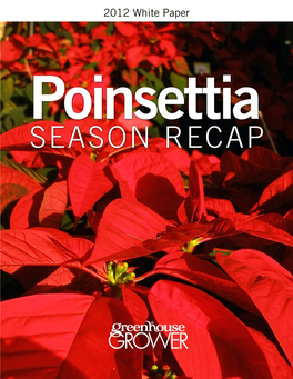 Poinsettia Season Recap 2012 White Paper