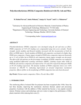 (PEEK) Composites Reinforced with Fly Ash and Mica