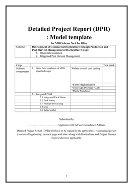 Detailed Project Report (DPR)