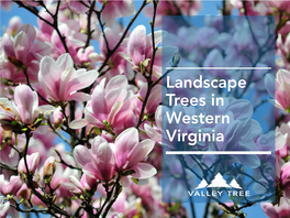 Landscape Trees in Western Virginia This Complementary E-Book Is Brought to You By