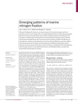 Emerging Patterns of Marine Nitrogen Fixation