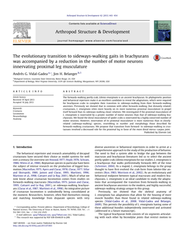 The Evolutionary Transition to Sideways-Walking Gaits In